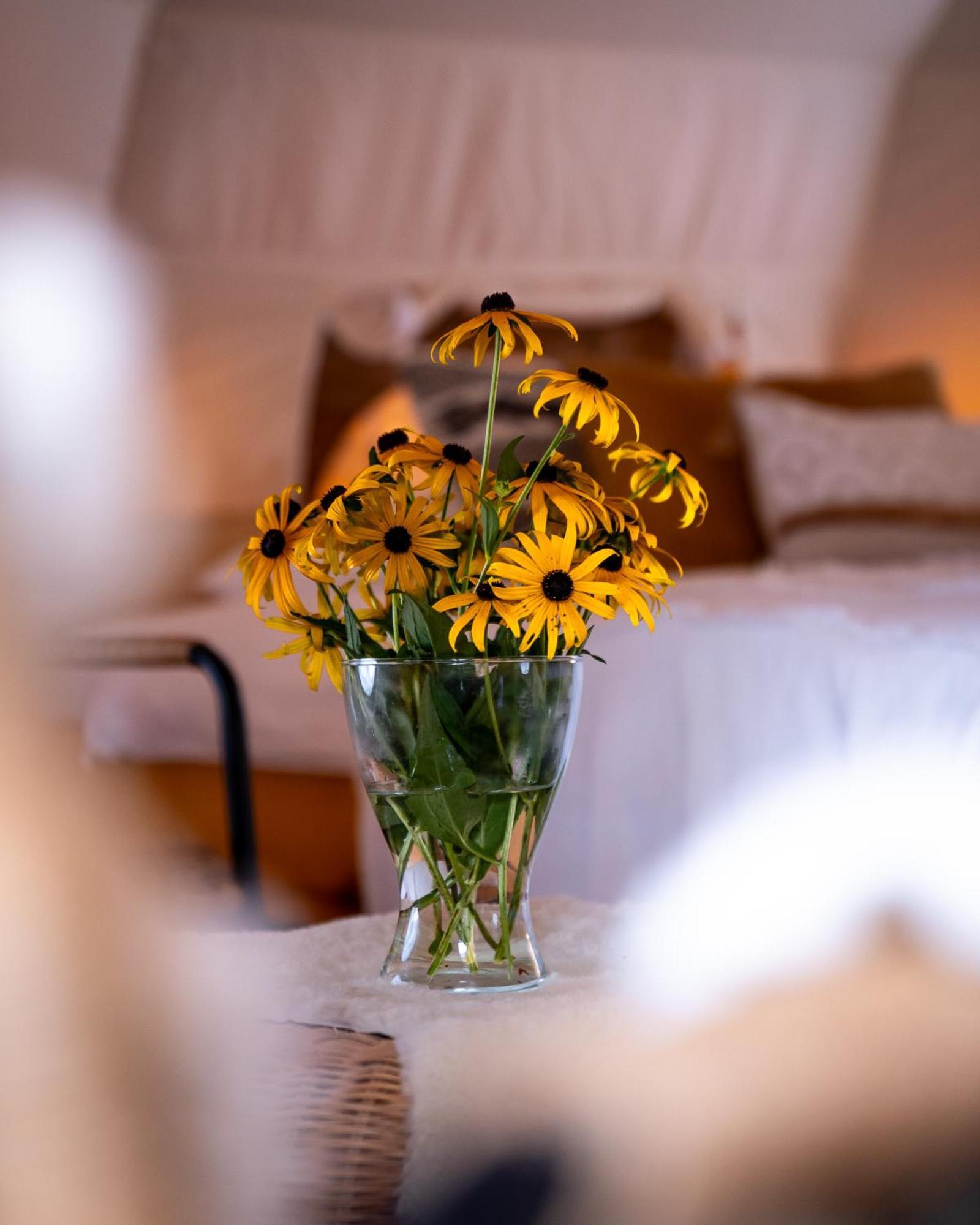 Glamping Gozdna Jasa Ξενοδοχείο Bovec Εξωτερικό φωτογραφία