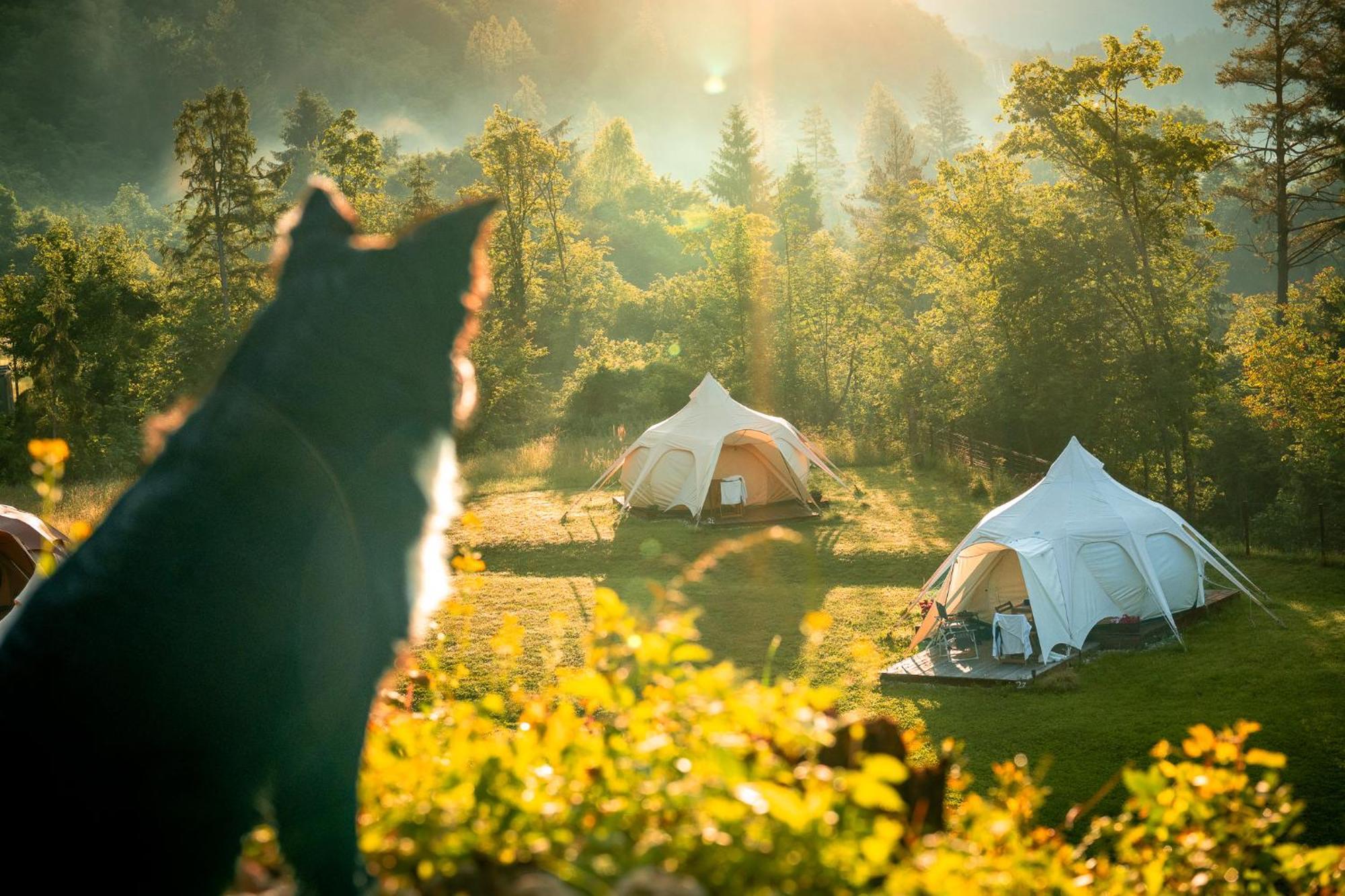 Glamping Gozdna Jasa Ξενοδοχείο Bovec Εξωτερικό φωτογραφία